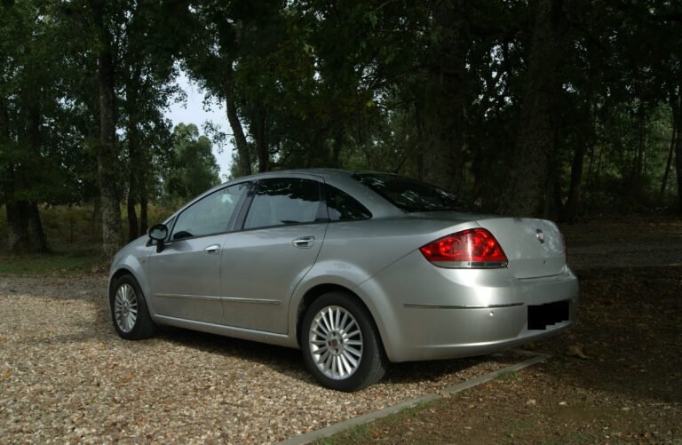 SONY DSC